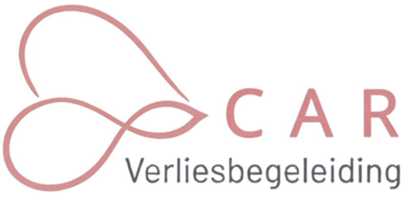 cropped-logo_carverliesbegeleiding.png